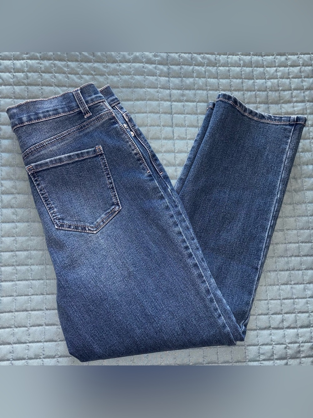 Gloria Vanderbilt Amanda Denim Blue Jeans Straight Size 10P Stretch - (F0326B)